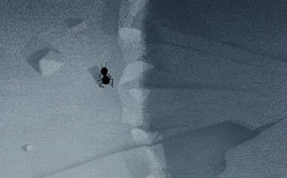 어떤 개미 / An Ant